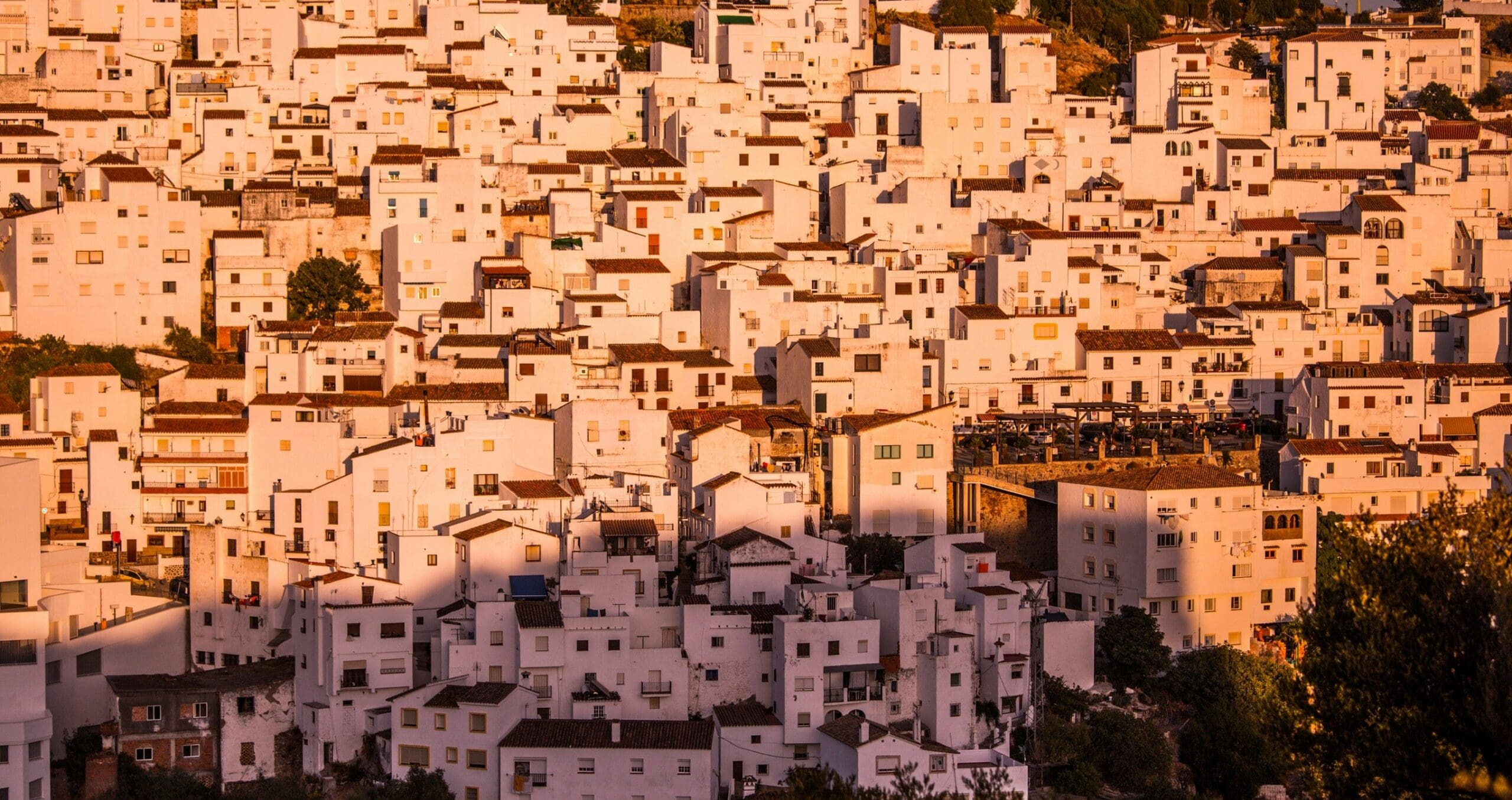 The beautiful gardens of the Alcazaba in Malaga