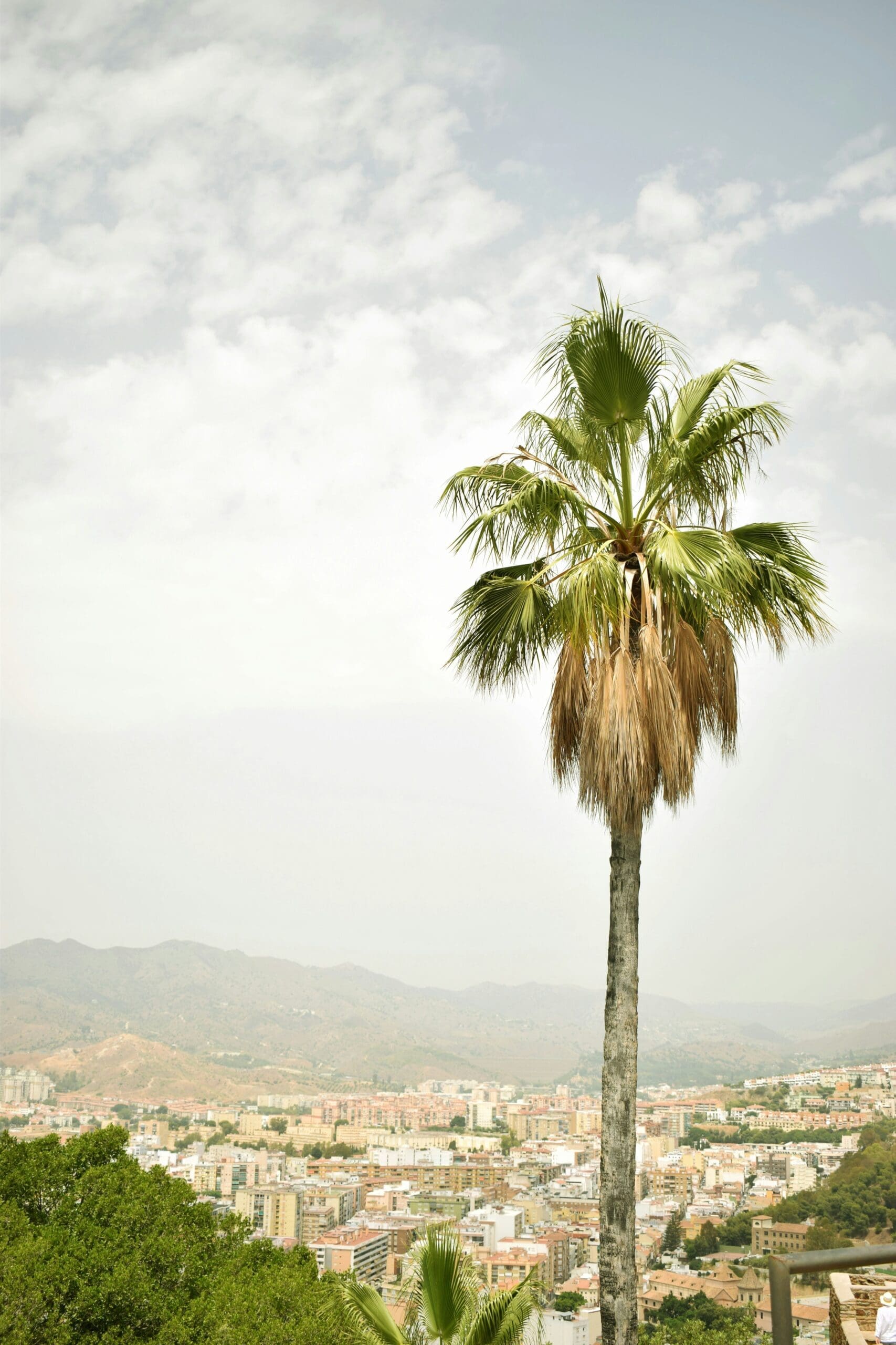 The central fountain in Málaga's park