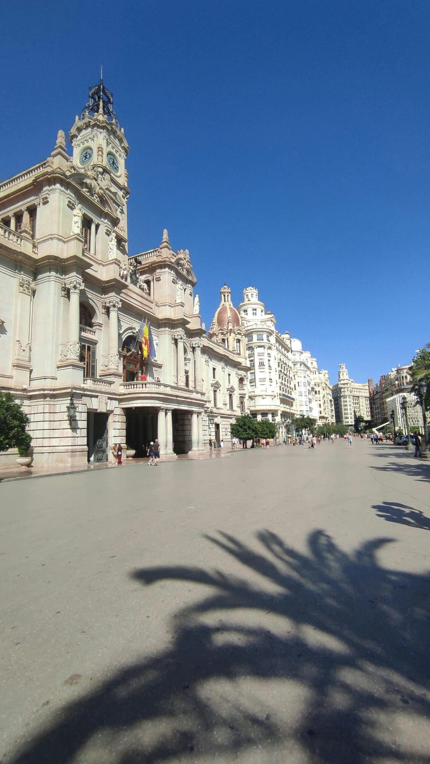 Plaza de la Virgen in front of the Valencia Cathedral