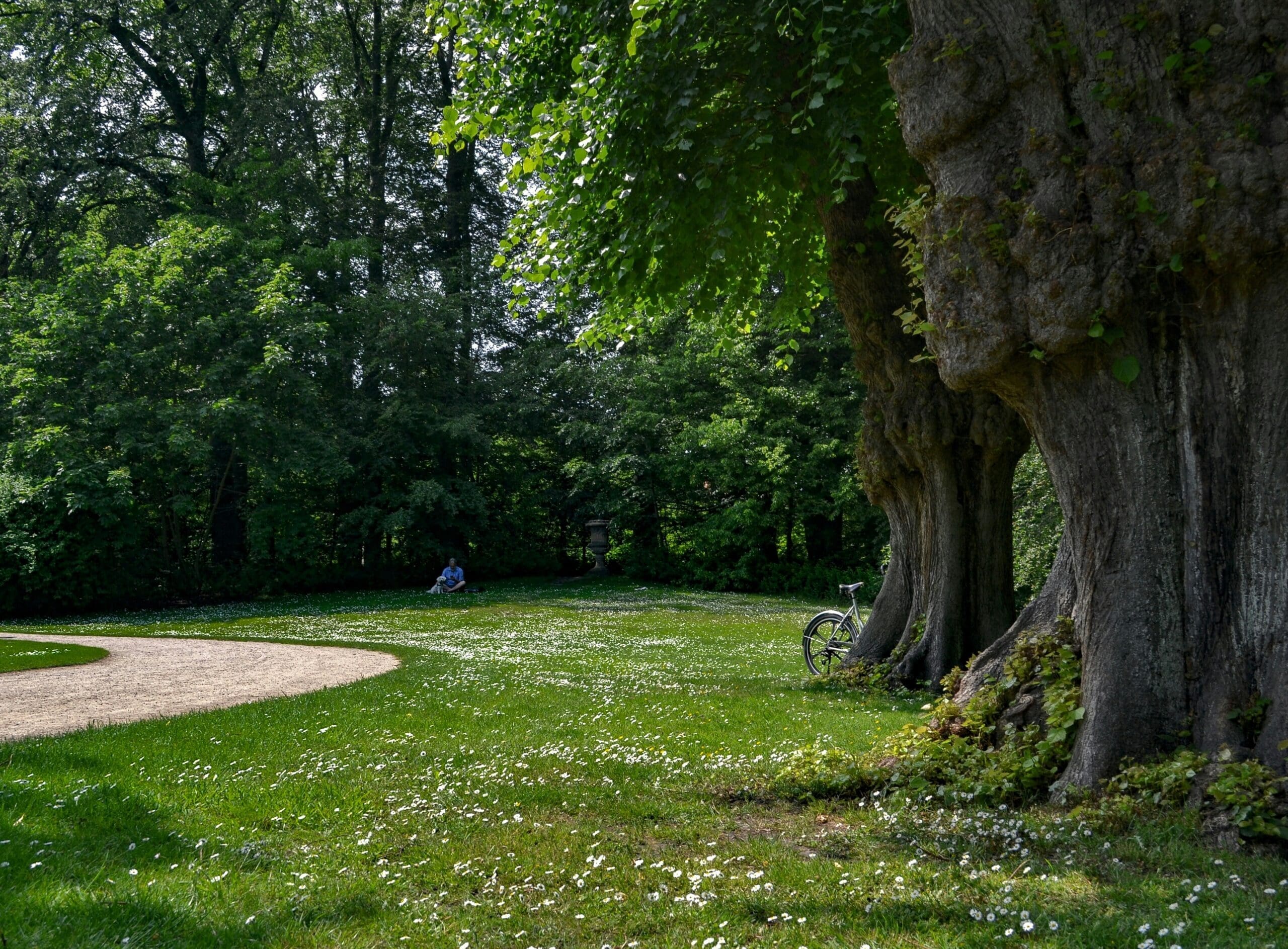 Englischer Schlosspark mit Blumenbeeten und alten Bäumen