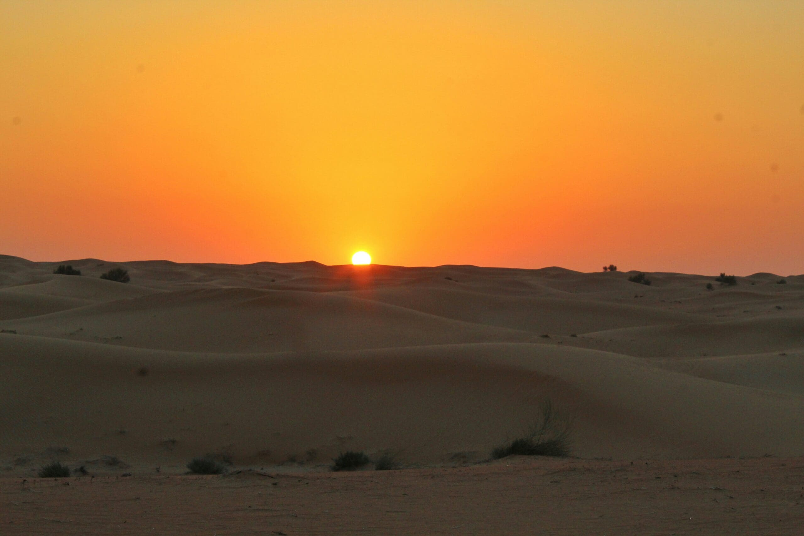 Sunset over Desert Breath, with the spirals stretching out in the golden colors of the desert