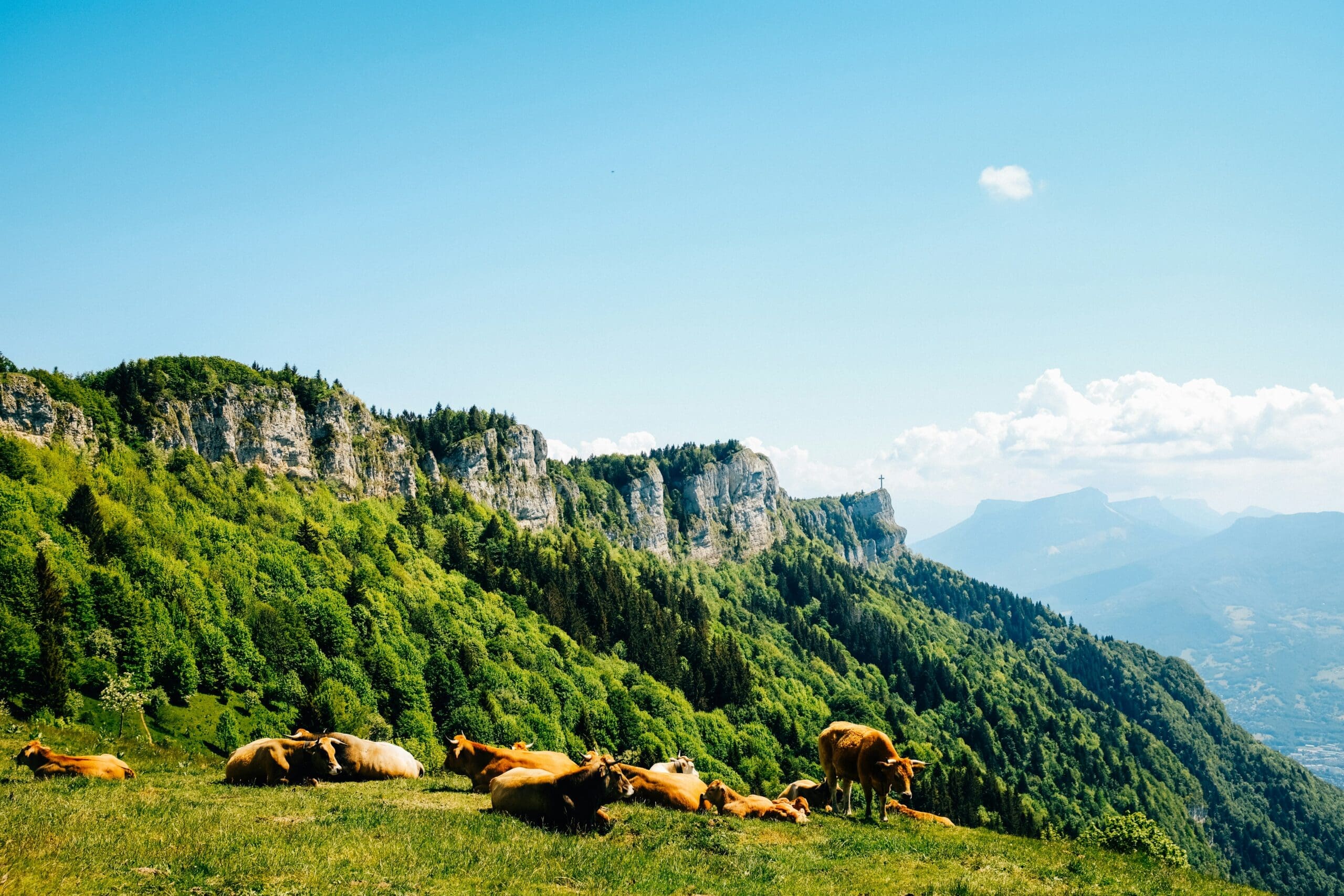 Wanderers in the Massif des Bauges Regional Nature Park