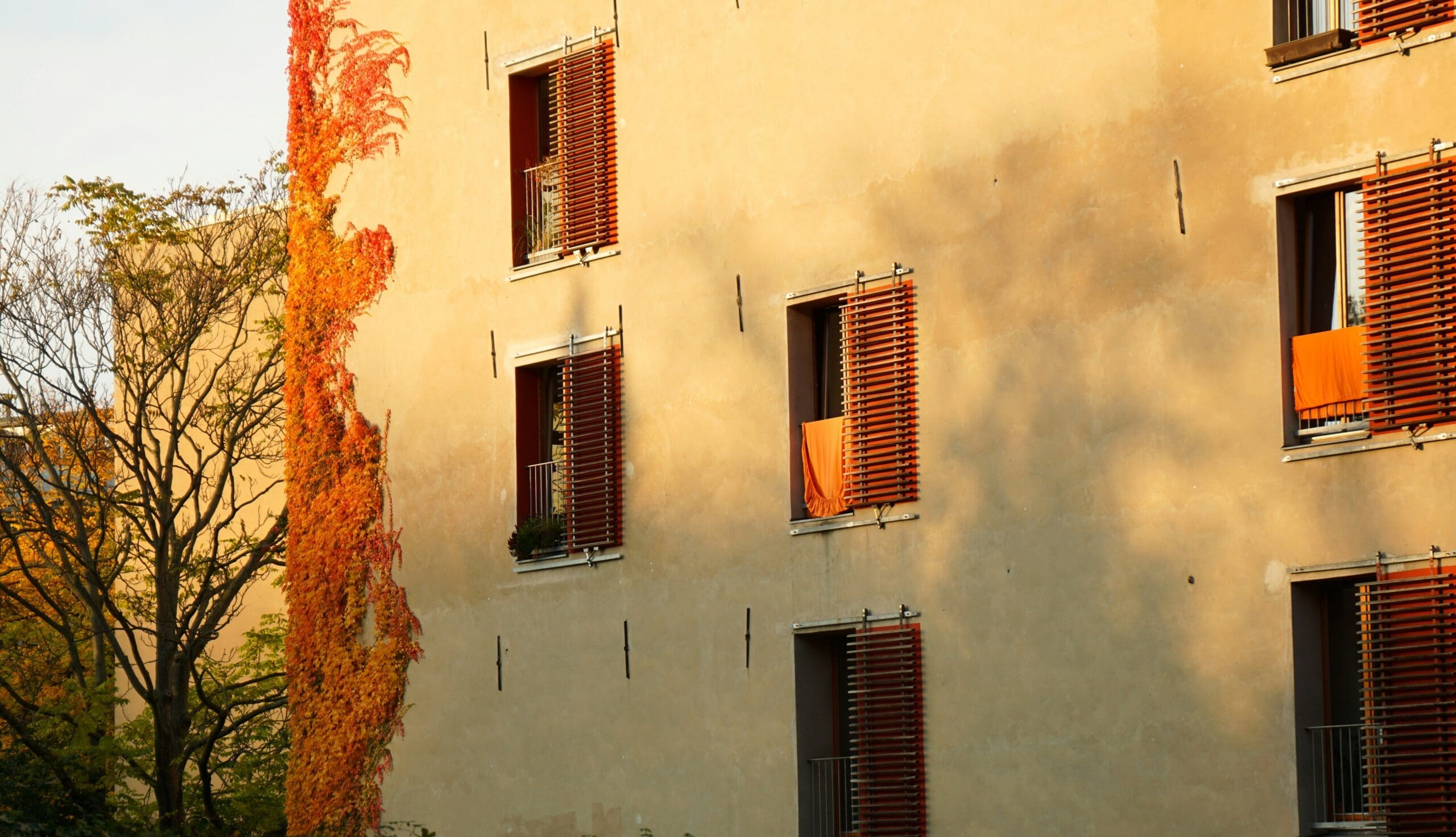 Detailaufnahme der Stuckarbeiten an der Fassade