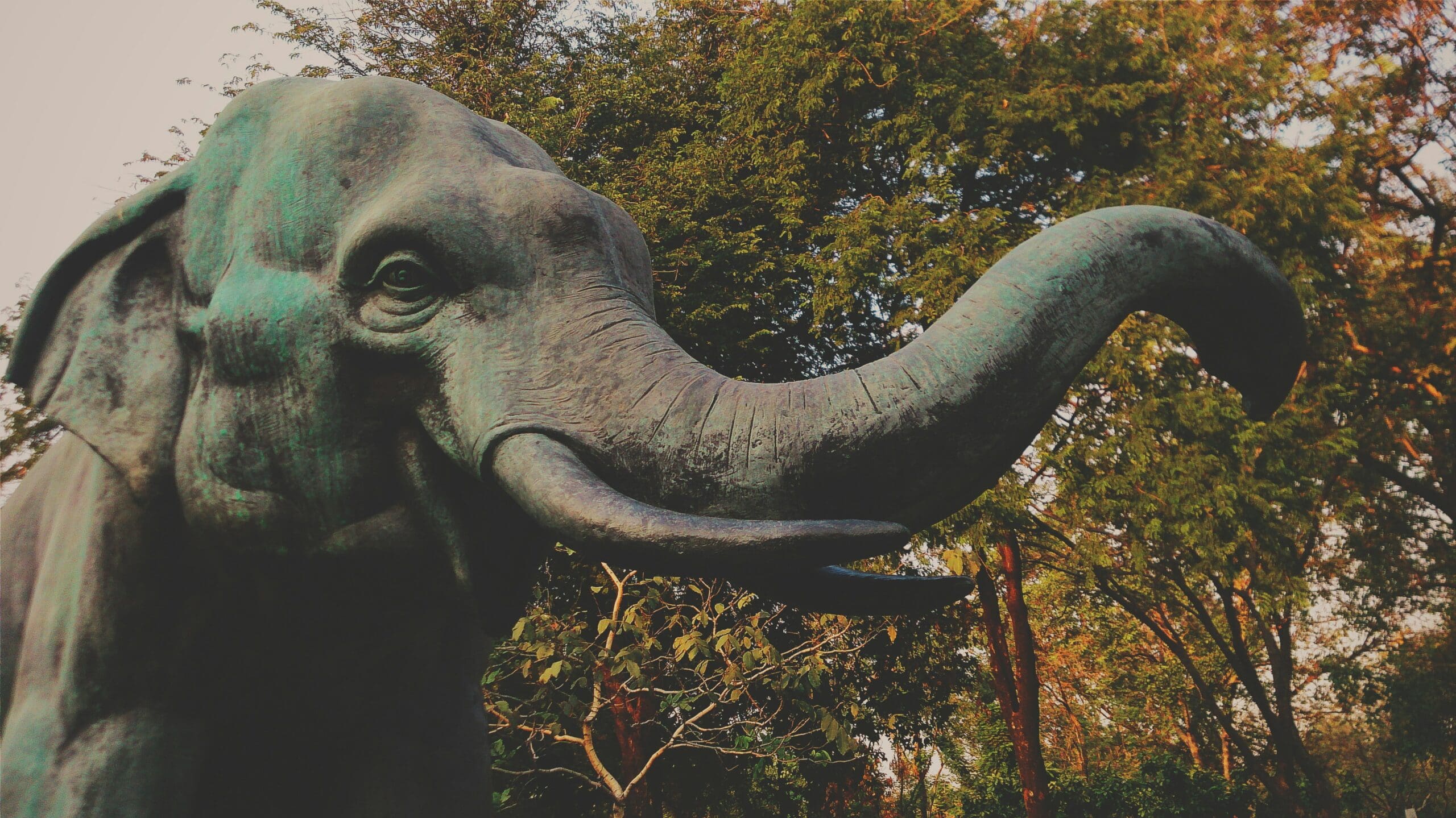 Nahaufnahme des Elefantenbrunnens mit Detailansicht der Elefant Statue