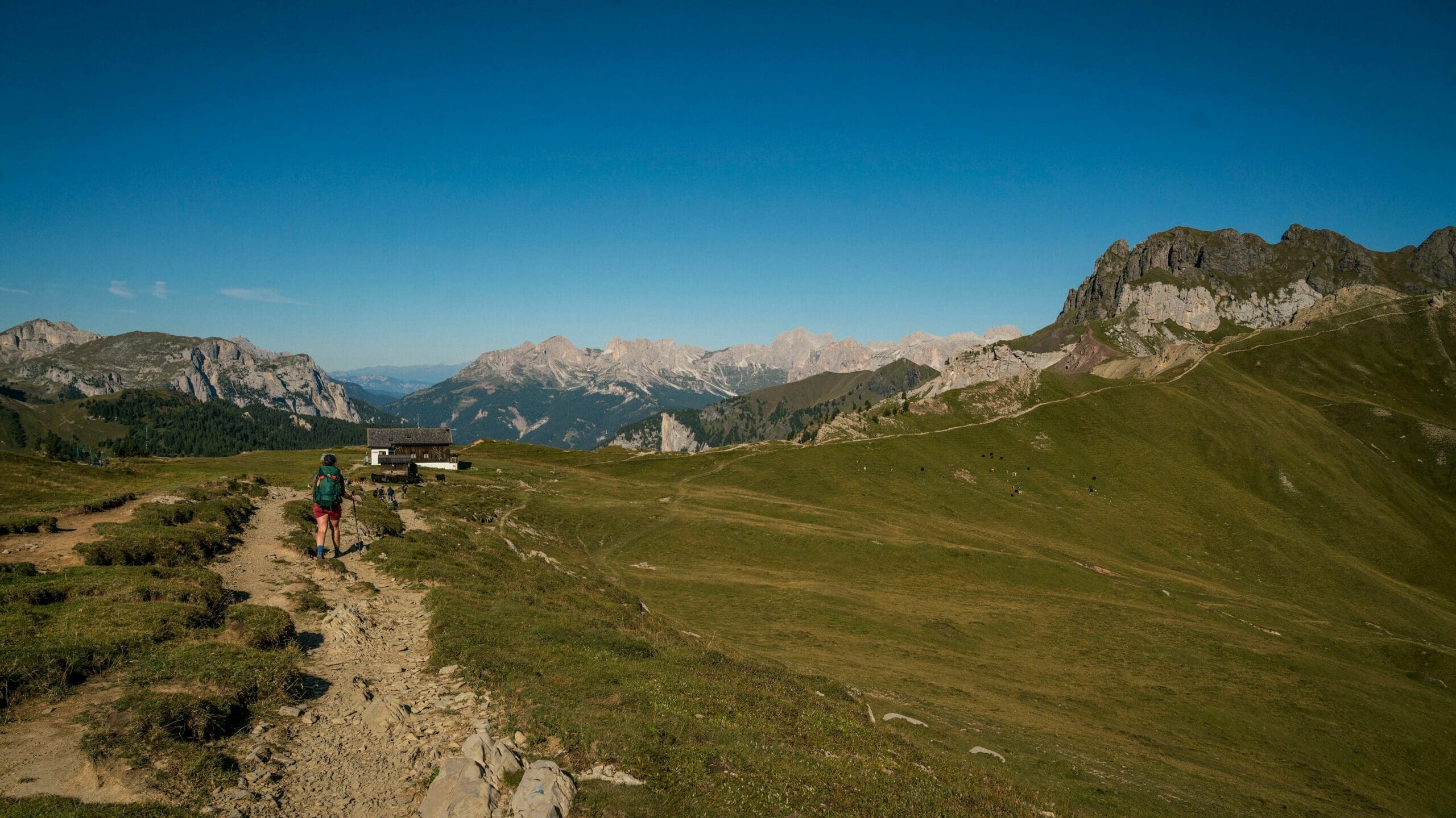 Hikers on a path with an alpine backdrop in the background