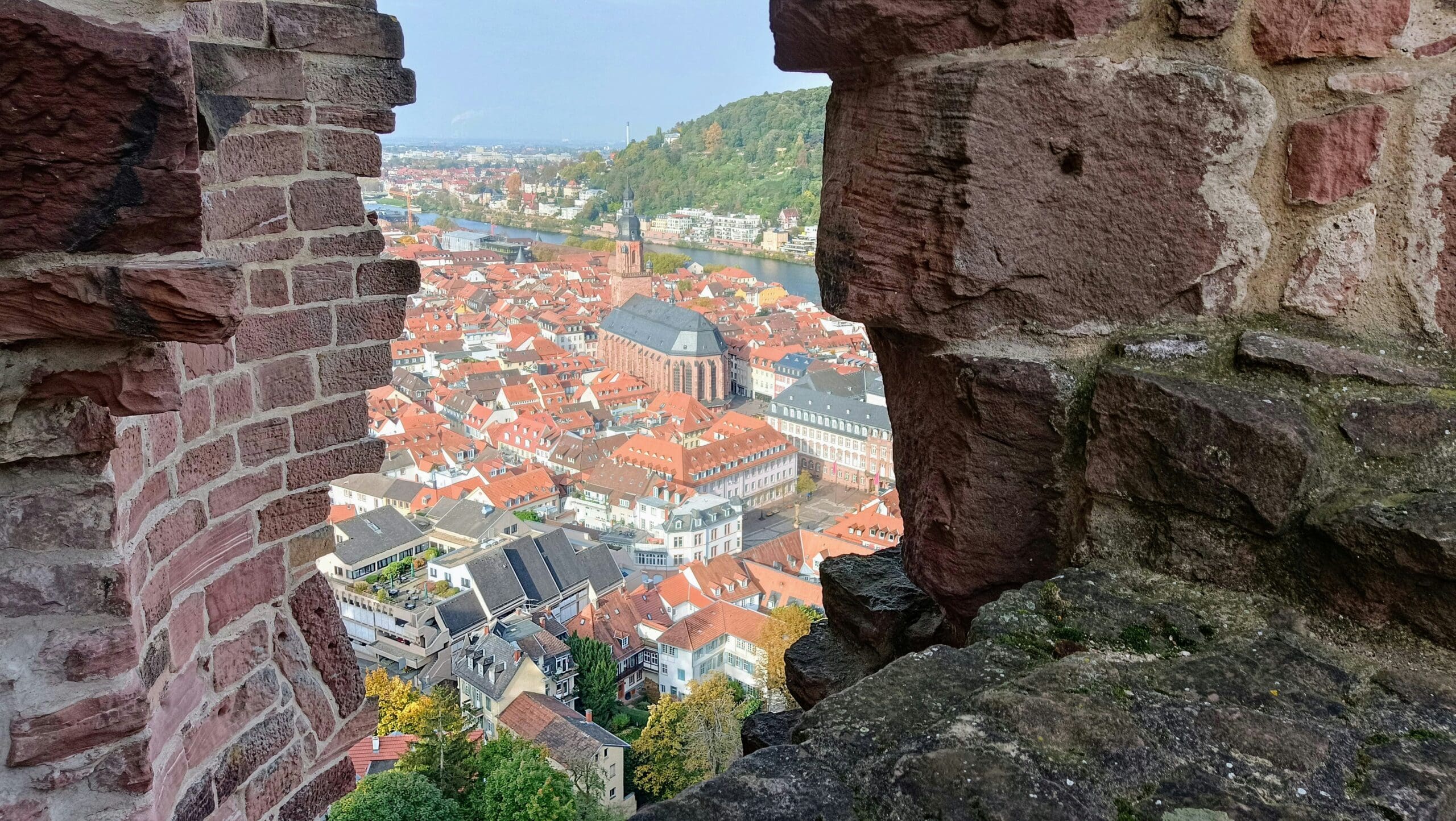 View from the tower of Strasbourg Cathedral
