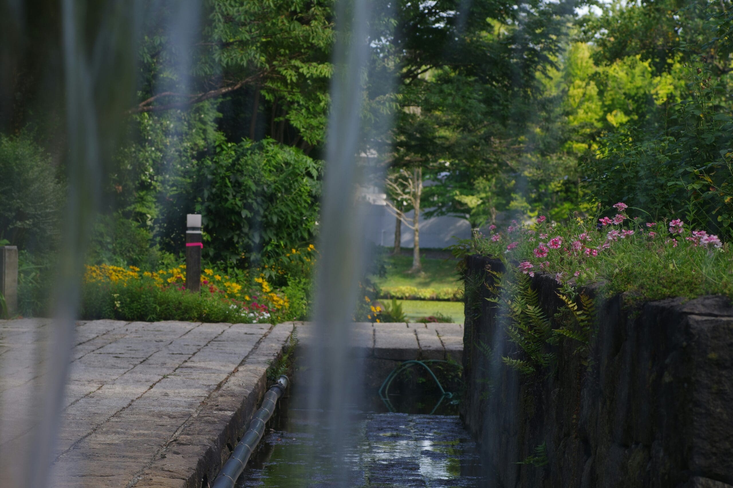 Symmetrische Hecken und Wasserspiele im Großen Garten, umgeben von blühenden Beeten